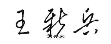 駱恆光王新兵草書個性簽名怎么寫