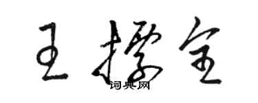 駱恆光王標全草書個性簽名怎么寫