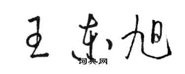 駱恆光王東旭草書個性簽名怎么寫