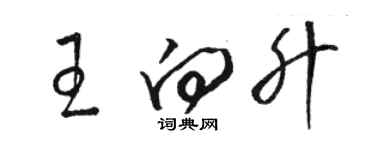 駱恆光王向升草書個性簽名怎么寫