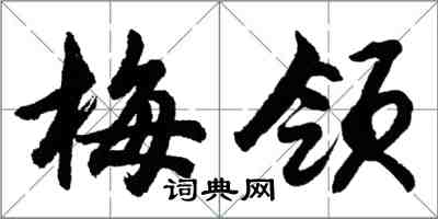 胡問遂梅領行書怎么寫