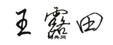 駱恆光王露田行書個性簽名怎么寫