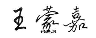 駱恆光王蒙嘉行書個性簽名怎么寫