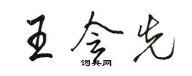 駱恆光王會先行書個性簽名怎么寫