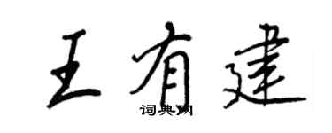 王正良王有建行書個性簽名怎么寫