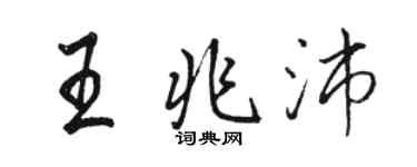 駱恆光王兆沛行書個性簽名怎么寫