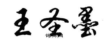 胡問遂王聖墨行書個性簽名怎么寫