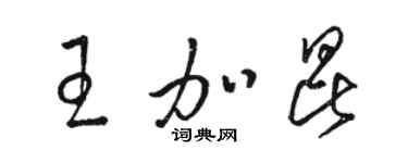 駱恆光王加昆草書個性簽名怎么寫