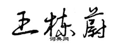 曾慶福王棟蔚草書個性簽名怎么寫