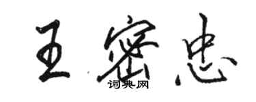 駱恆光王密忠行書個性簽名怎么寫