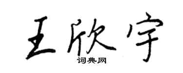 王正良王欣宇行書個性簽名怎么寫