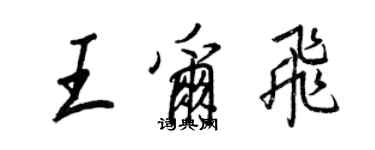 王正良王爾飛行書個性簽名怎么寫