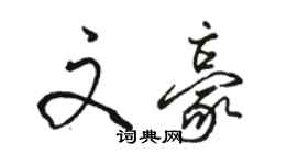 駱恆光文豪行書個性簽名怎么寫