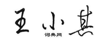 駱恆光王小其行書個性簽名怎么寫