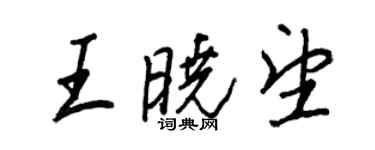 王正良王曉望行書個性簽名怎么寫