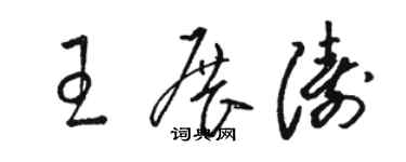 駱恆光王展濤草書個性簽名怎么寫