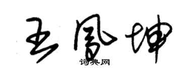 朱錫榮王鳳坤草書個性簽名怎么寫