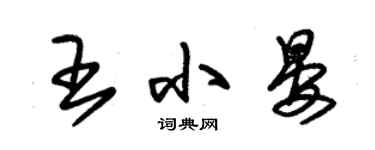 朱錫榮王小晏草書個性簽名怎么寫