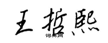王正良王哲熙行書個性簽名怎么寫