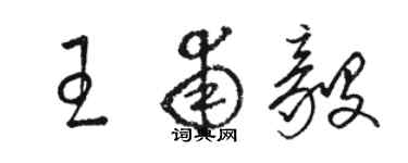 駱恆光王甫毅草書個性簽名怎么寫