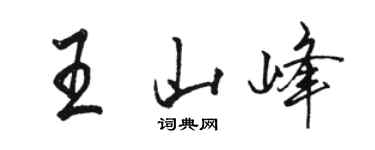 駱恆光王山峰行書個性簽名怎么寫