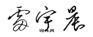 駱恆光雷宇晨草書個性簽名怎么寫