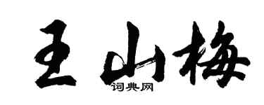 胡問遂王山梅行書個性簽名怎么寫