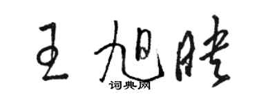 駱恆光王旭映草書個性簽名怎么寫