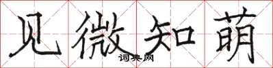 駱恆光見微知萌楷書怎么寫