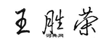 駱恆光王勝榮行書個性簽名怎么寫