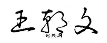 曾慶福王朝文草書個性簽名怎么寫