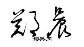 曾慶福鄭晨草書個性簽名怎么寫