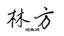 王正良林方行書個性簽名怎么寫