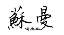王正良蘇曼行書個性簽名怎么寫