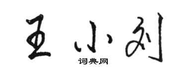 駱恆光王小劉行書個性簽名怎么寫