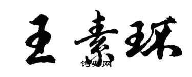 胡問遂王素環行書個性簽名怎么寫