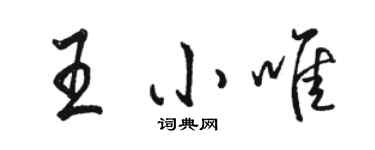 駱恆光王小唯行書個性簽名怎么寫