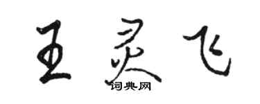 駱恆光王靈飛行書個性簽名怎么寫
