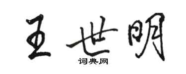 駱恆光王世明行書個性簽名怎么寫