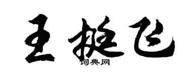 胡問遂王挺飛行書個性簽名怎么寫