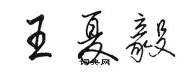 駱恆光王夏毅行書個性簽名怎么寫