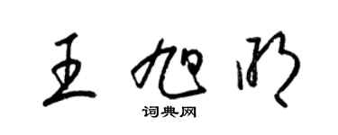 梁錦英王旭明草書個性簽名怎么寫