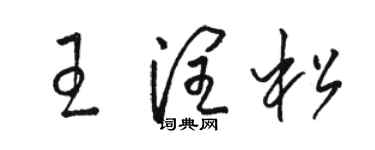 駱恆光王潤松草書個性簽名怎么寫