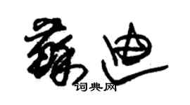 朱錫榮蘇迪草書個性簽名怎么寫