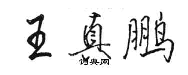 駱恆光王真鵬行書個性簽名怎么寫