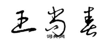 曾慶福王尚春草書個性簽名怎么寫