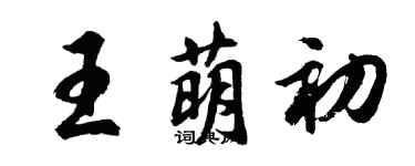 胡問遂王萌初行書個性簽名怎么寫