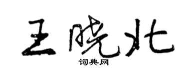 曾慶福王曉北行書個性簽名怎么寫