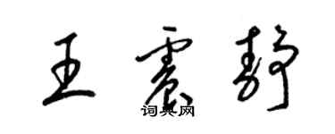 梁錦英王震靜草書個性簽名怎么寫