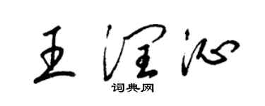 梁錦英王潤沁草書個性簽名怎么寫